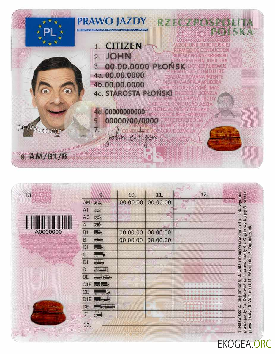 Poland driving license template in PSD format,fully editable,2019 present